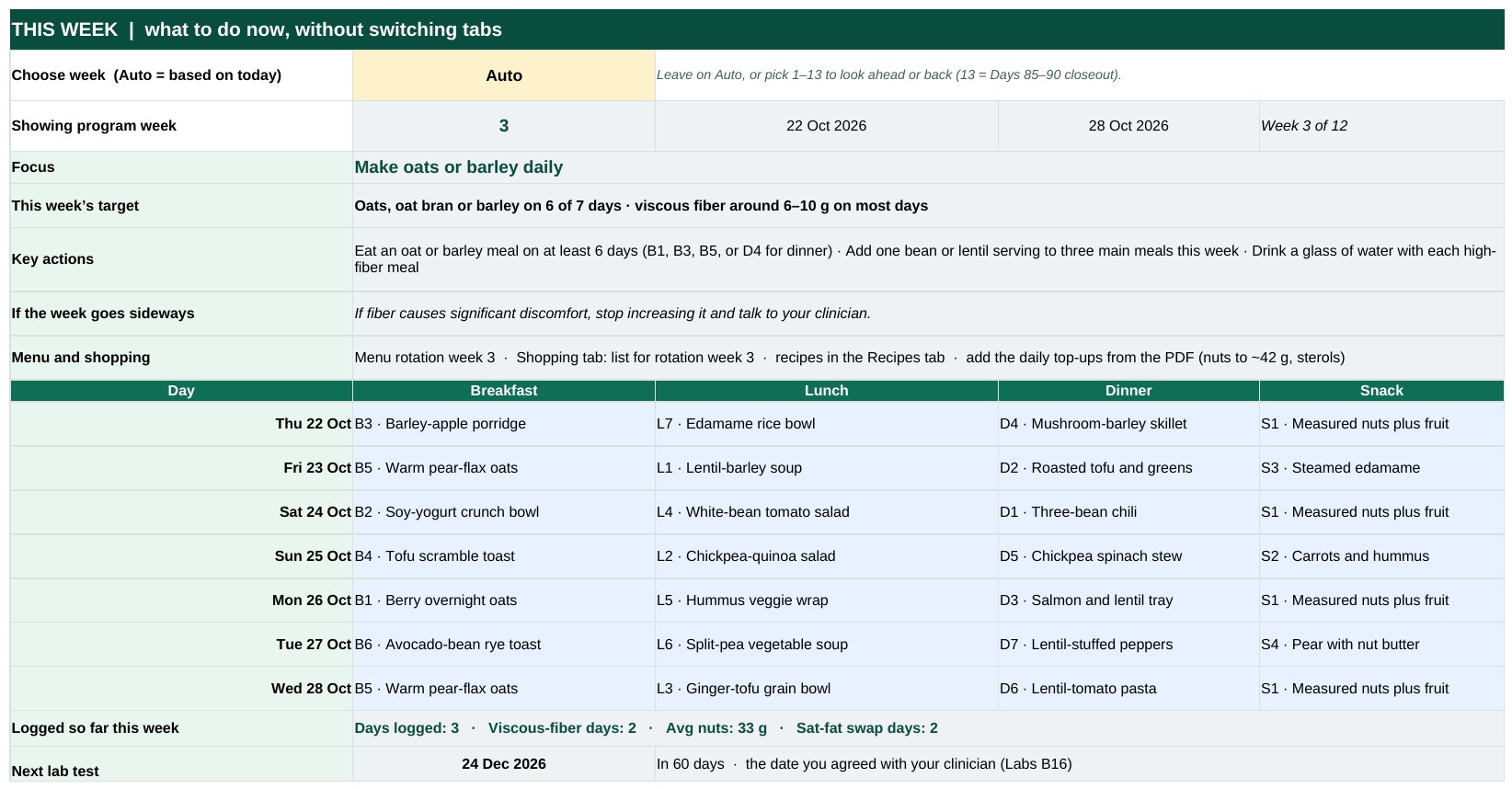 The Excel tracker's This Week panel showing the week's focus, target, actions, seven-day menu and progress