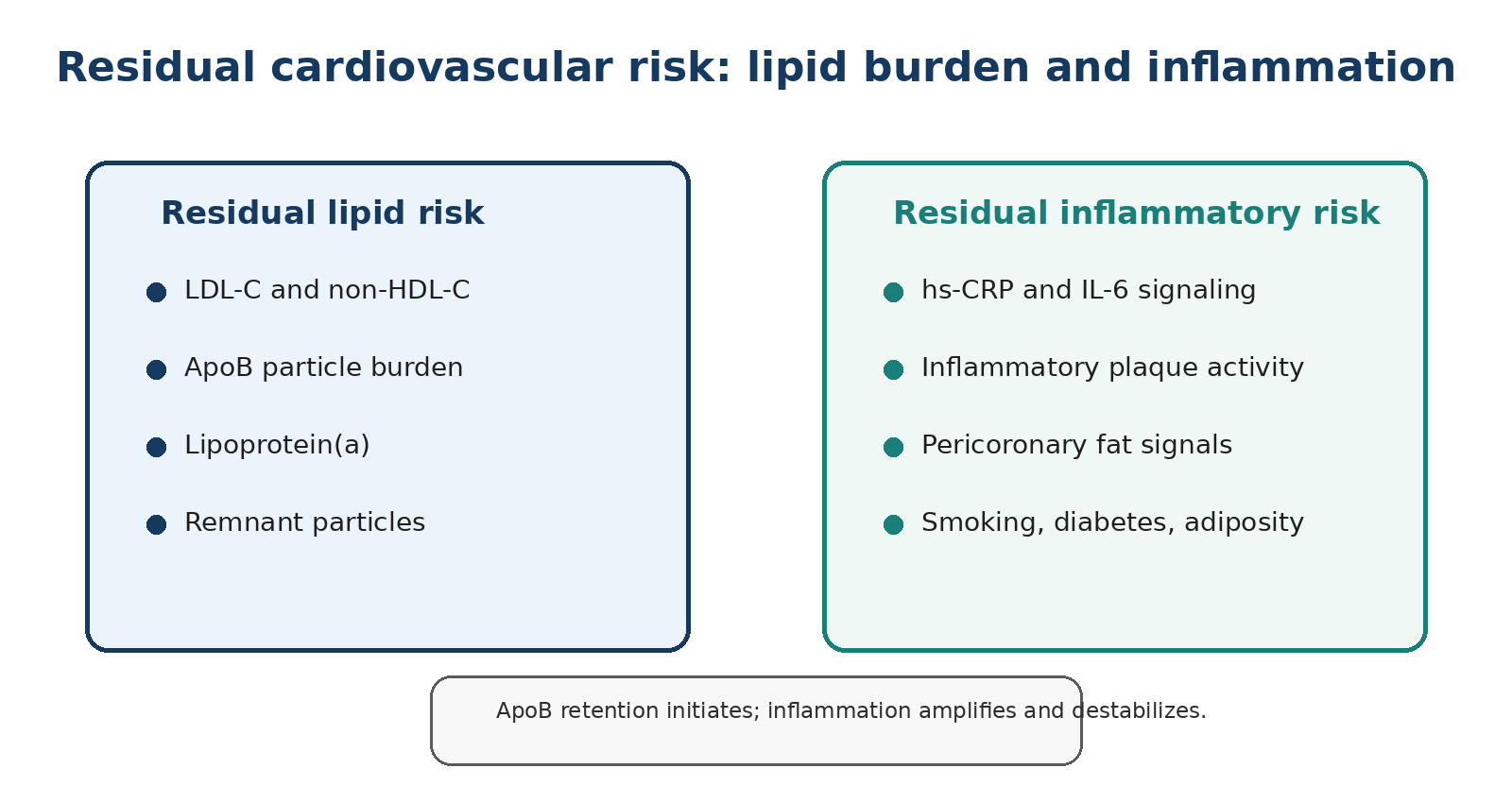 Two interacting forms of residual cardiovascular risk: lipid burden and inflammation