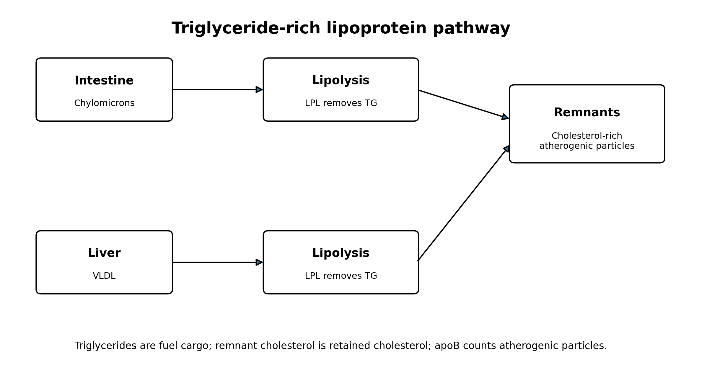 Figure 1. Four different measurements hidden inside one “high triglyceride” phenotype.